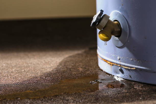 Carpet water damage restoration in Stone Ridge, VA