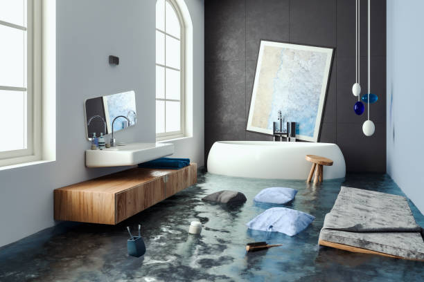 Best Flooded house restoration  in Stone Ridge, VA