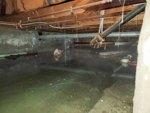 Stone Ridge, VA Water damage restoration Company