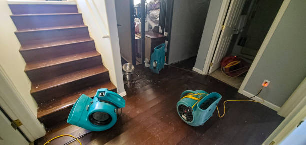  Stone Ridge, VA Water damage restoration Pros