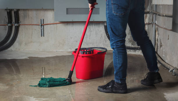 Best Flood restoration services  in Stone Ridge, VA