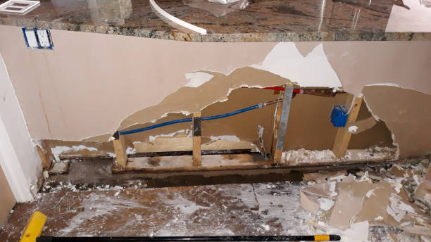 Best Professional water damage repair  in Stone Ridge, VA